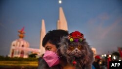 A protester carries a cat during a demonstration calling for the resignation of Thailand&#39;s Prime Minister Prayut Chan-O-Cha over the government&#39;s handling of the Covid-19 crisis in Bangkok.