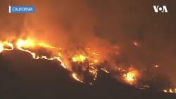 California’daki Yangınlarda Ölü Sayısı Yükseliyor