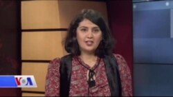 Li Baxçeya Heywana li Chicago Gorîllayek Din Hat Dinê