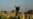 Possible Kurdish-Turkish peace could be bad news for Islamic State