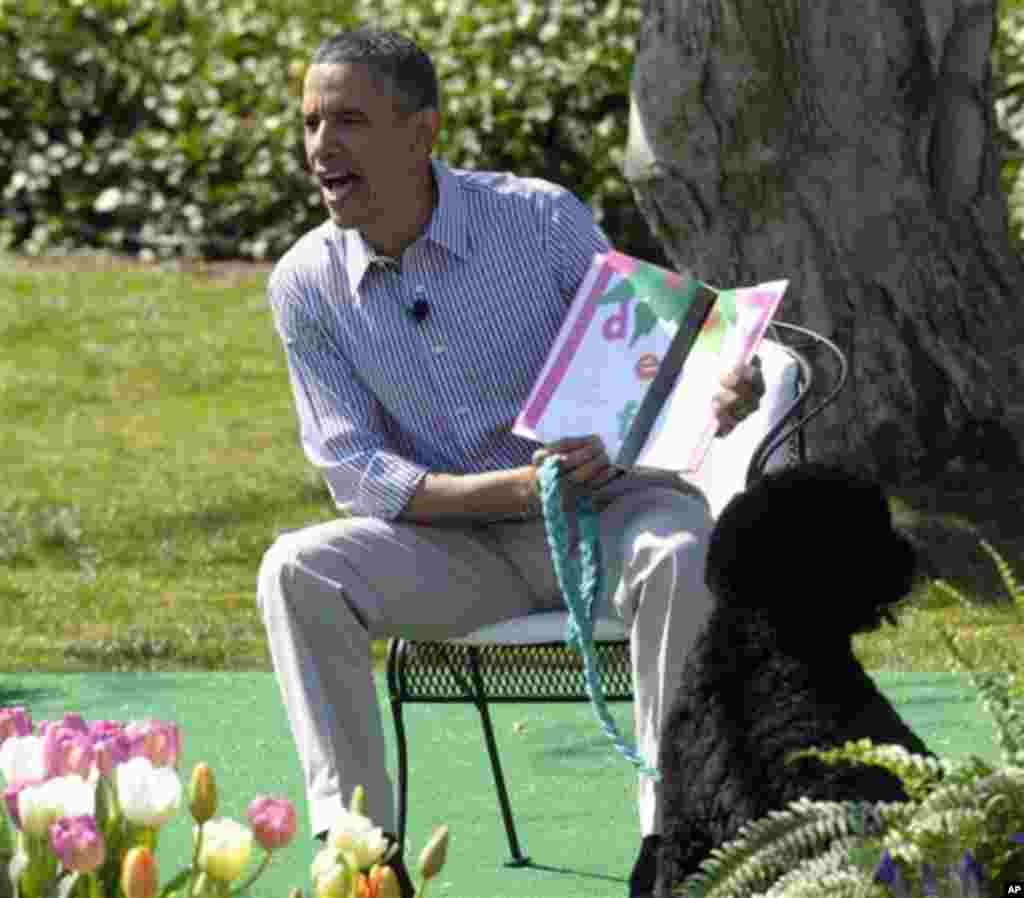President Barack Obama, accompanied by first dog Bo, reads "Chicka Chicka Boom Boom" during the annual Easter Egg Roll on the South Lawn of the White House in Washington, Monday, April 1, 2013. (AP Photo/Susan Walsh)