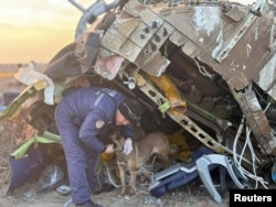 Seorang spesialis darurat dengan seekor anjing bekerja di lokasi jatuhnya pesawat penumpang Embraer milik Azerbaijan Airlines di dekat Kota Aktau, Kazakhstan, 26 Desember 2024. (Foto: via Reuters)