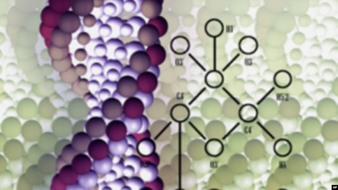 A close-up of DNA strand & molecular structure