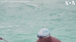 Բրիտանացի լողորդը լող է տվել Անտարկտիդային հարող ջրերում՝ կլիմայի փոփոխության շուրջ իրազեկելու նպատակով