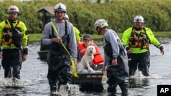 Amy Bishop es evacuada de su casa por bomberos y rescatistas mientras las aguas suben en su vecindario después de que el huracán Milton provocara la inundación del río Anclote, el 11 de octubre de 2024, en New Port Richey, Florida.