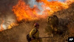 Los incendios forestales en el oeste de EE.UU. ha ido en aumento desde 1984 según un nuevo estudio.