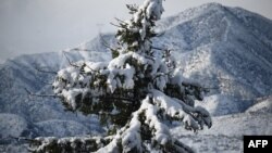 Salju menyelimuti Taman Nasional Angeles di Los Angeles, California, 26 Desember 2019. (Foto: AFP)