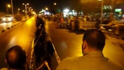 Horse Cart Races Delight Egyptians