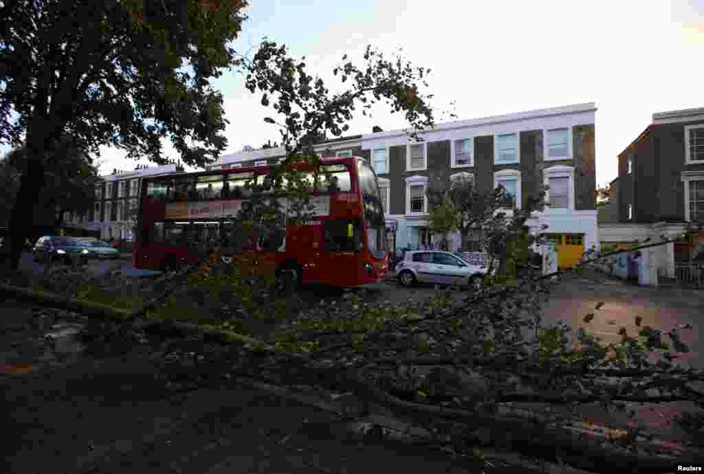 Sebuah bus melewati pohon-pohon tumbang di Islington, London utara (28/10).