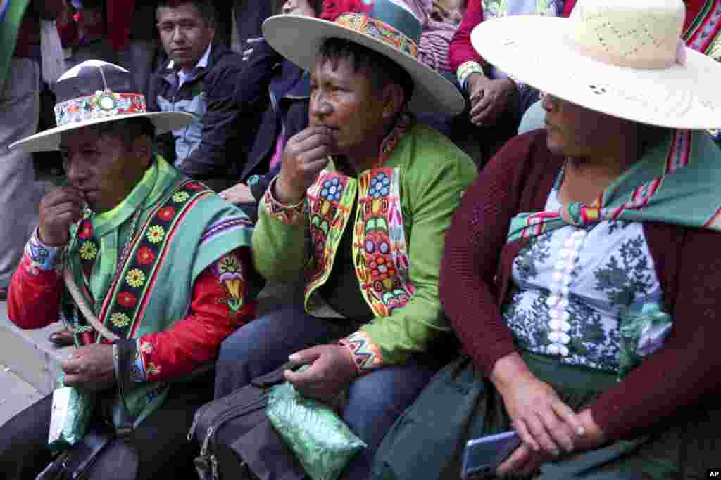 فستیوال جویدن تنباکو در بولیویا