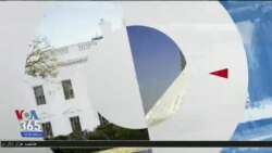 اخبار شامگاهی