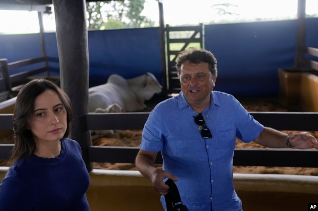 Ney Pereira and his daughter, veterinarian Lorrany Martins, give an interview inside a stable at his farm in Uberaba, Minas Gerais state, Brazil, Friday, April 26, 2024. (AP Photo/Silvia Izquierdo)