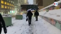 Nueva York tras la primera nevada del 2022