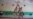 Somaliland Circus: Twisting, Tumbling, Teaching