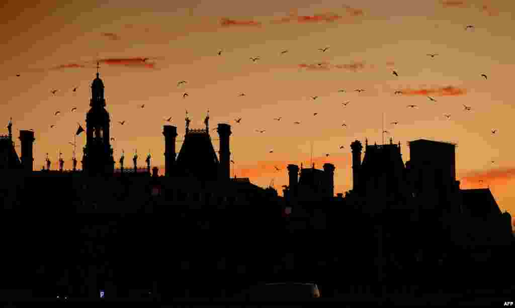 Birds fly above Paris city hall at sunrise.