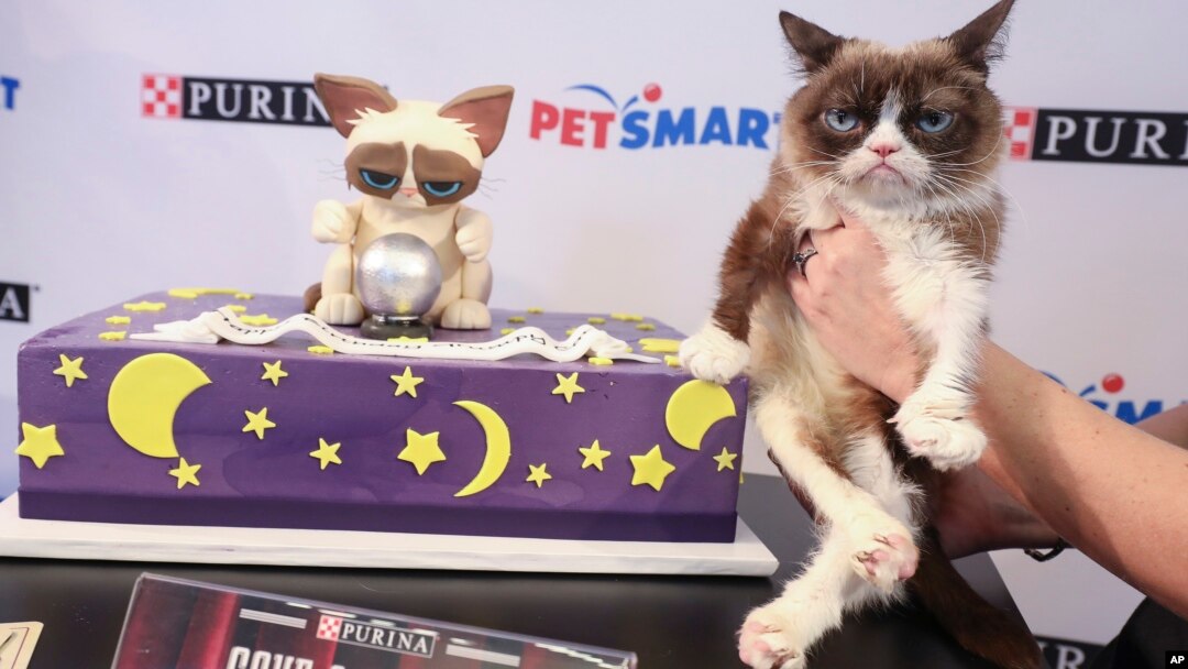 FILE - America's favorite famous feline, Grumpy Cat, celebrates her sixth birthday with Purina and PetSmart at the "Save a Fortune" event on Wednesday, April 4, 2018 in New York. (Purina)