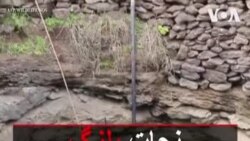 نجات پلنگ چهارساله در هند