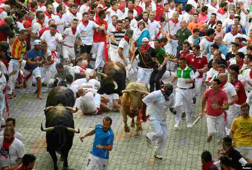 San Fermin festivalının ilk günündə iştirakçılar öküzlərin qarşısında qaçırlar. Pamplona, İspaniya. 7 iyul, 2016.