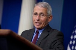 Director of the National Institute of Allergy and Infectious Diseases Dr. Anthony Fauci speaks during a coronavirus task force briefing at the White House, April 10, 2020, in Washington.