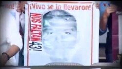 اخبار شامگاهی