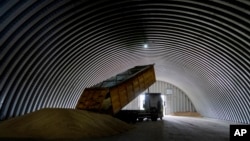 FILE - A dump track unloads grain in a granary in the village of Zghurivka, Ukraine, Aug. 9, 2022. 