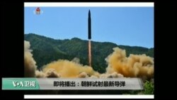 美国观察 2017年7月5日