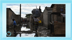 Healthy Living: The global cholera crisis