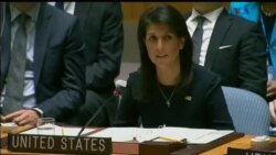 اخبار شامگاهی