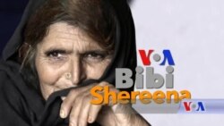 بي بي شیرینه – وي او اې ډيوه په ټیلې ویژن