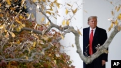 Predsjednik Donald Trump ispred ulaza u Ovalnu kancelariju sa južne strane Bijele kuće (Foto: AP)