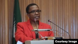 Wynne Musabayana Deputy Director of Communcations and Infromation for the African Union