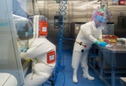 This file photo taken on Feb. 23, 2017 shows workers next to a cage with mice (R) inside the P4 laboratory in Wuhan, capital of China's Hubei province.