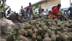 Les jeunes camerounais se lancent dans la transformation de produits locaux