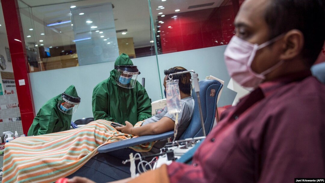 Para penyintas COVID-19 mendonorkan plasma konvalesen di kanto Palang Merah Indonesia di Surabaya, Jawa Timur, 18 September 2020. (Foto: Juni Kriswanto/AFP)