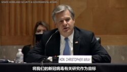 FBI局长：中国仍在试图刺探美国新冠疫苗研究