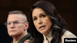 美国国家情报总监图尔西·加巴德在位于华盛顿的美国国会山举行的参议院情报委员会听证会上作证。(2026年3月18日) 