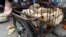 Dogs for sale are kept in a cage in Dashichang dog market on the day of local dog meat festival in Yulin, Guangxi Autonomous Region, June 22, 2015. 