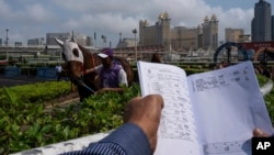 A visitor watches horses in the parade ring at the Macao Jockey Club in Macao on March 30, 2024. After more than 40 years, Macao’s horse racing track hosted its final races Saturday, bringing an end to the sport in the city famous for its massive casinos.