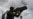 NATO leader supports alliance’s right to defend Ukraine