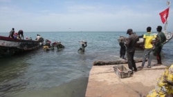 No Good Fish in the Sea: Overfishing in Senegal