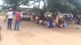 Sarudzo dze Primary Elections Mubato reZanu-PF