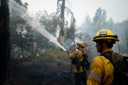 Members of the Glendale, Calif., Fire Department hose down hot spots along Empire Grade Road after the CZU August Lightning Complex Fire went through, Aug. 21, 2020, in Bonny Doon, Calif.