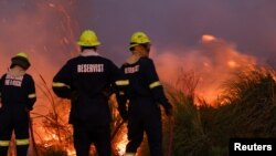 FILE - Firefighters work to extinguish a fire in Pringle Bay, as firefighters remain on high alert amid dry, hot, and windy weather in Western Cape, South Africa, January 30, 2024.