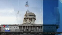 اخبار شامگاهی
