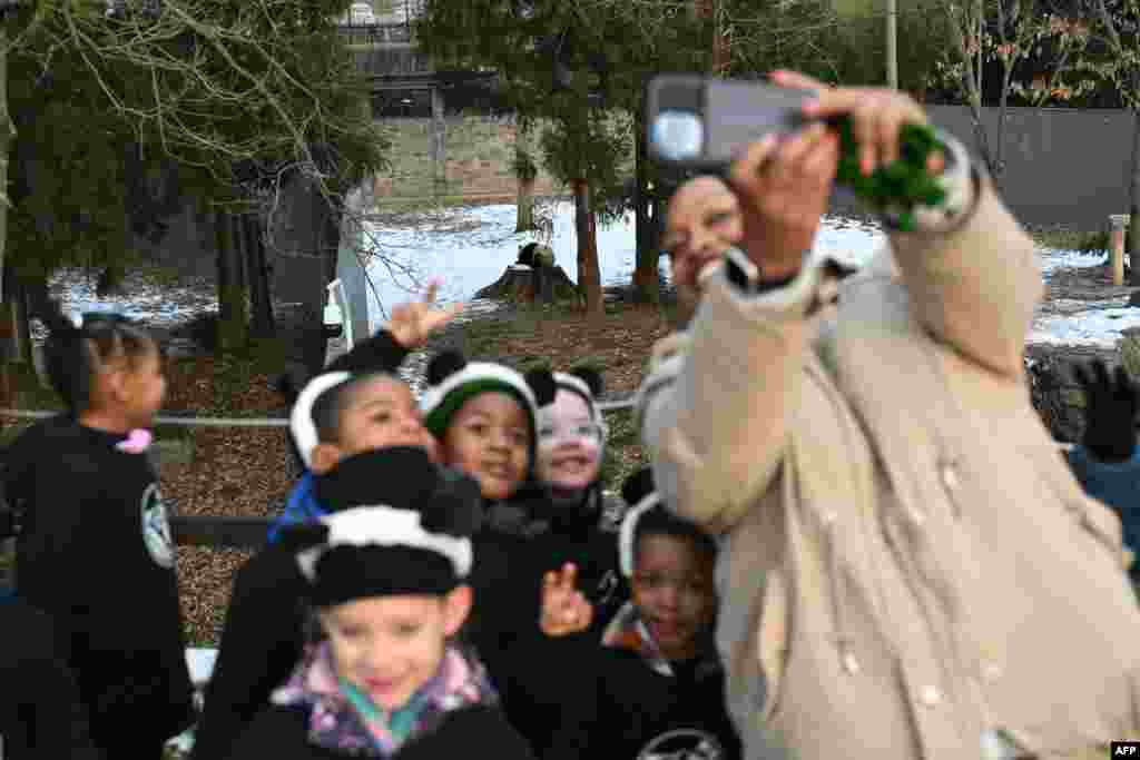 Las selfies tampoco se hicieron esperar. Pequeños estudiantes y maestros que visitaron el zoo de Washington, se retrataron con las dos nuevas estrellas del lugar.&nbsp;