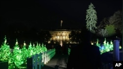 Árboles de Navidad iluminados en la Elipse, cerca de la Casa Blanca, luego de una ceremonia de encendido en Washington, el jueves 5 de diciembre de 2024. (Foto AP/Jacquelyn Martin).