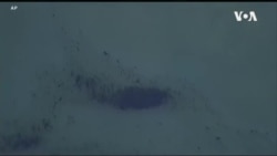 ນ້ຳມັນຮົ່ວ ຢູ່ລັດຄາລີຟໍເນຍ ຂອງ ສະຫະລັດ