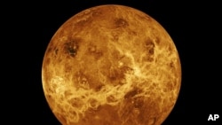 This image made available by NASA shows the planet Venus made with data from the Magellan spacecraft and Pioneer Venus Orbiter.