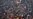 Mob Lynches Rape Suspect in India