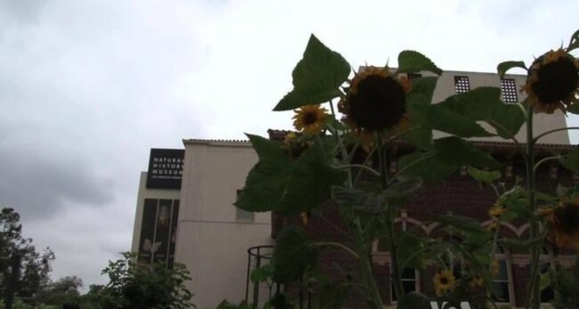 Volunteers, Organizations Expand Parks and Playgrounds